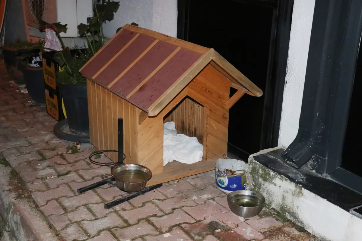 Emekli Polisten Köpeğe Kurşun