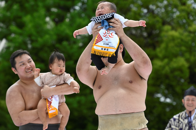 Japonya'da asırlık ilginç gelenek, ilk ağlayan bebek kazandı