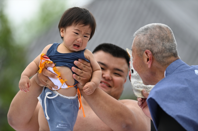 Japonya'da asırlık ilginç gelenek, ilk ağlayan bebek kazandı