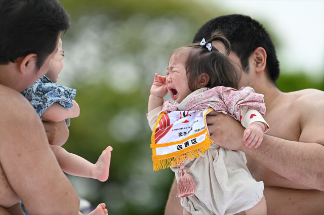 Japonya'da asırlık ilginç gelenek, ilk ağlayan bebek kazandı