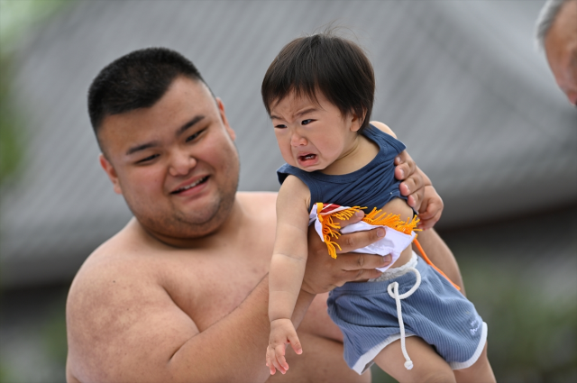 Japonya'da asırlık ilginç gelenek, ilk ağlayan bebek kazandı