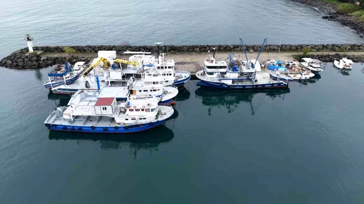 Türkiye\'den 64 Tekne Orkinos Avına Çıkıyor