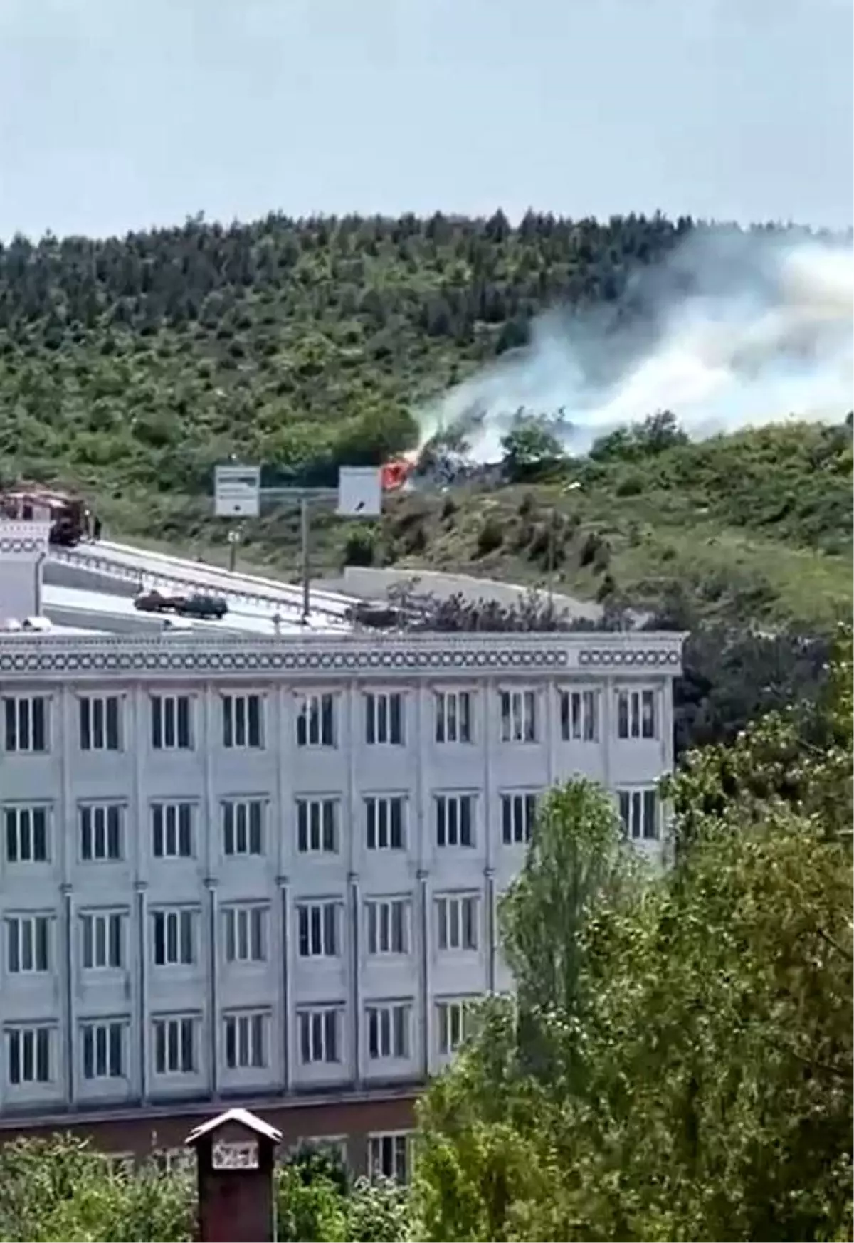 Arnavutköy\'de Orman Yangını Kontrol Altına Alındı