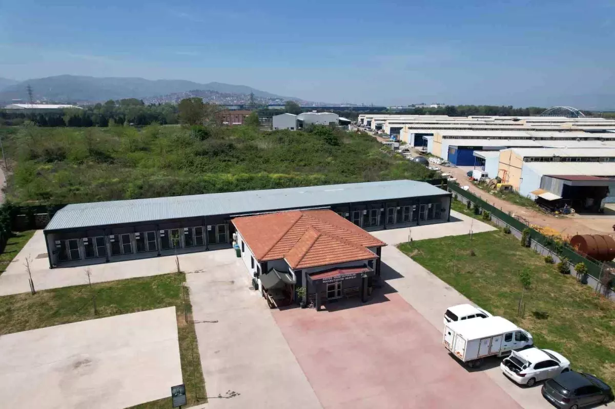 Kahraman Köpek Proteo\'nun Adı Verilen Rehabilitasyon Merkezi, 2 Bin Sokak Hayvanına Şifa Oldu