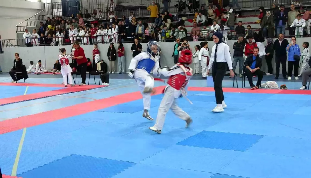 Kütahya\'da Minikler Taekwondo Yarışmaları Coşkuyla Yapıldı