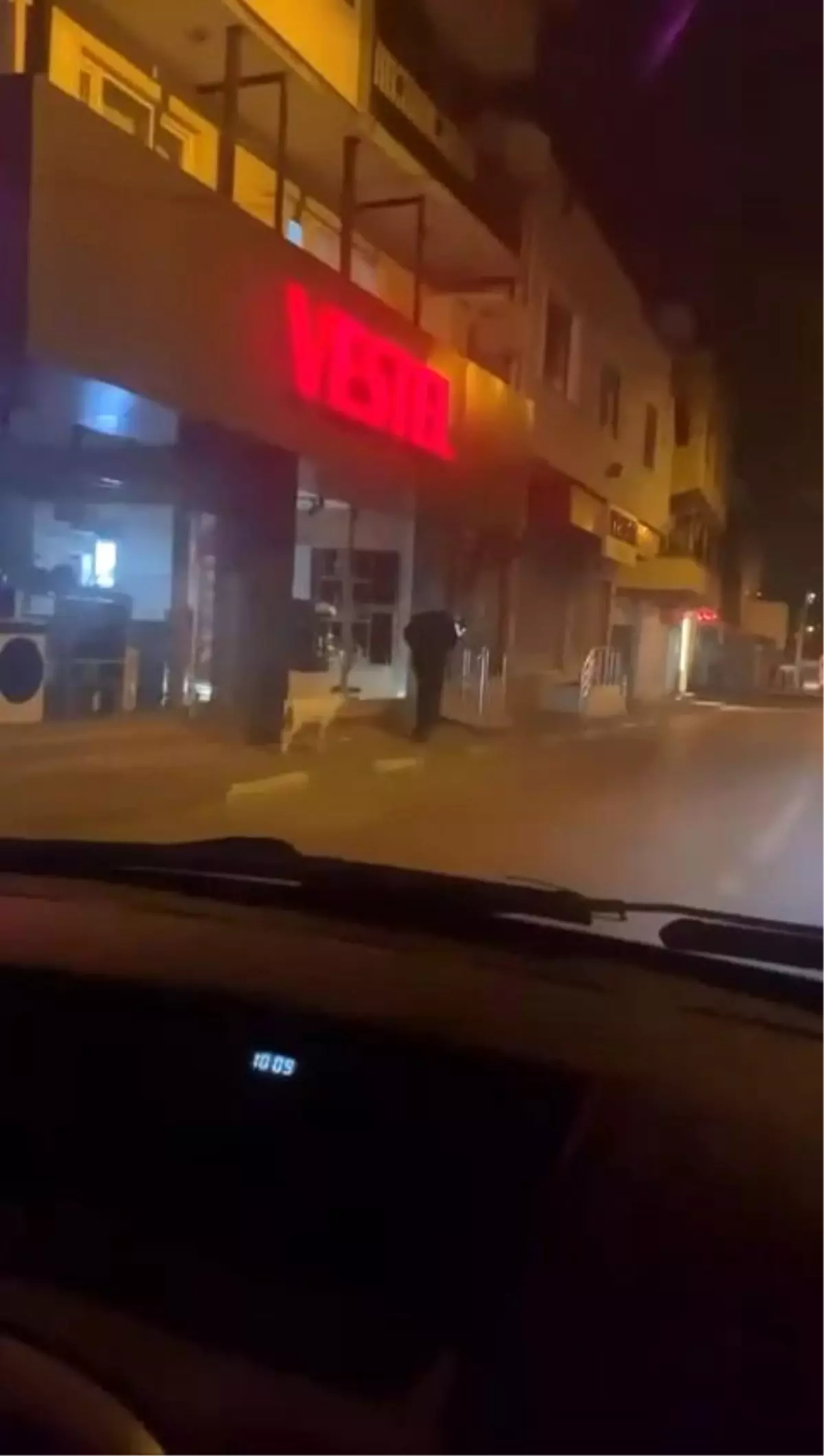 Bursa\'da Kuzulu İlginç Anlar