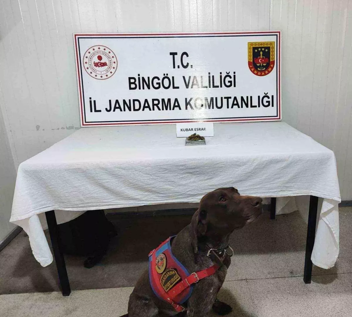 Bingöl\'de Jandarma Operasyonu: Esrar ve Tüfek Ele Geçirildi