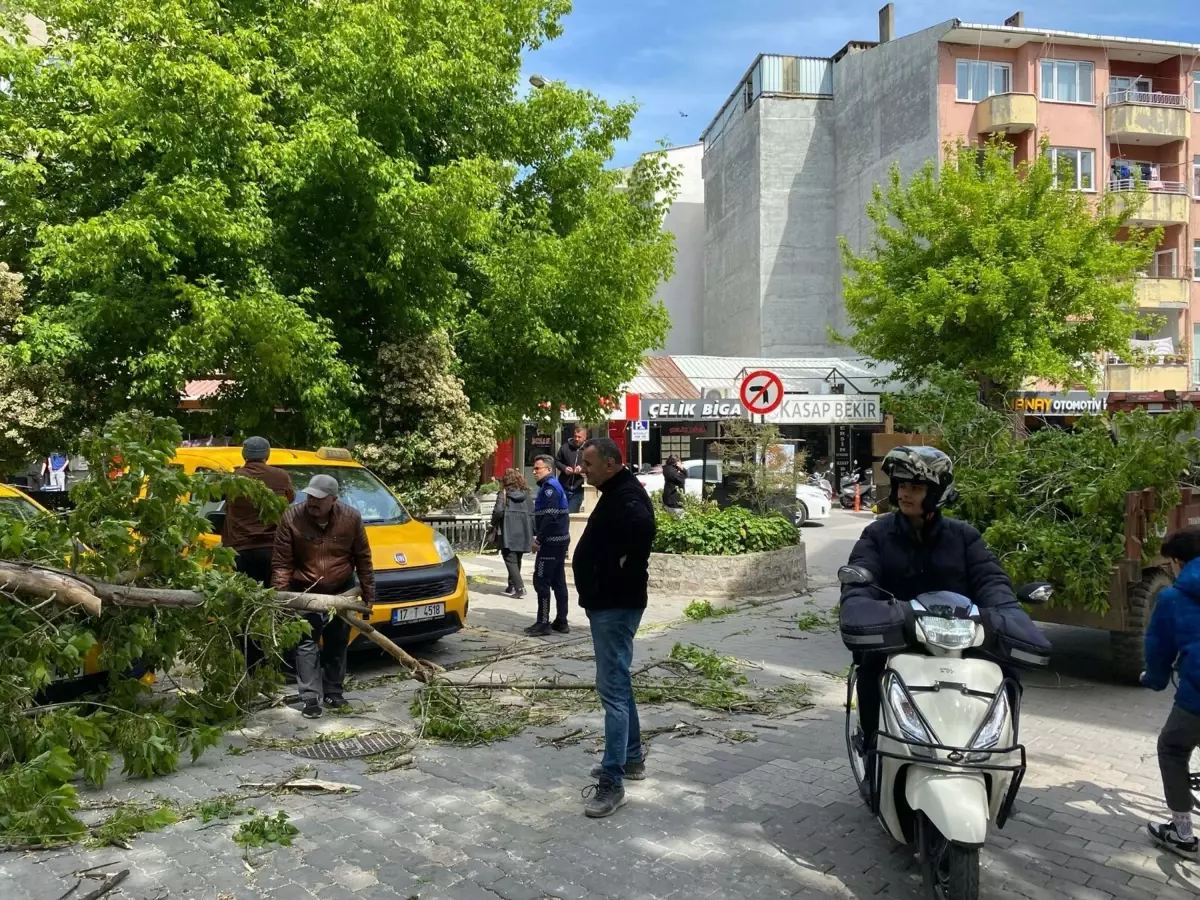 Fırtına 3 Araca Zarar Verdi