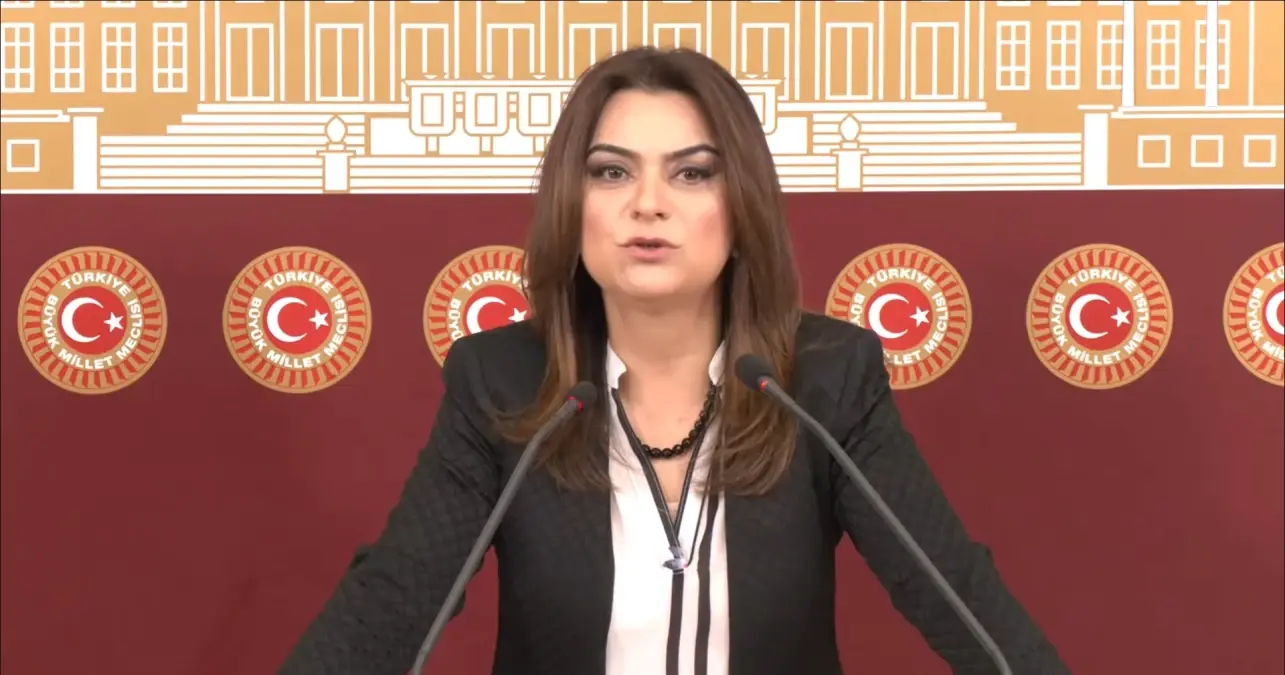 Tecrit Sonlanmalı, Kongre Toplanmalı