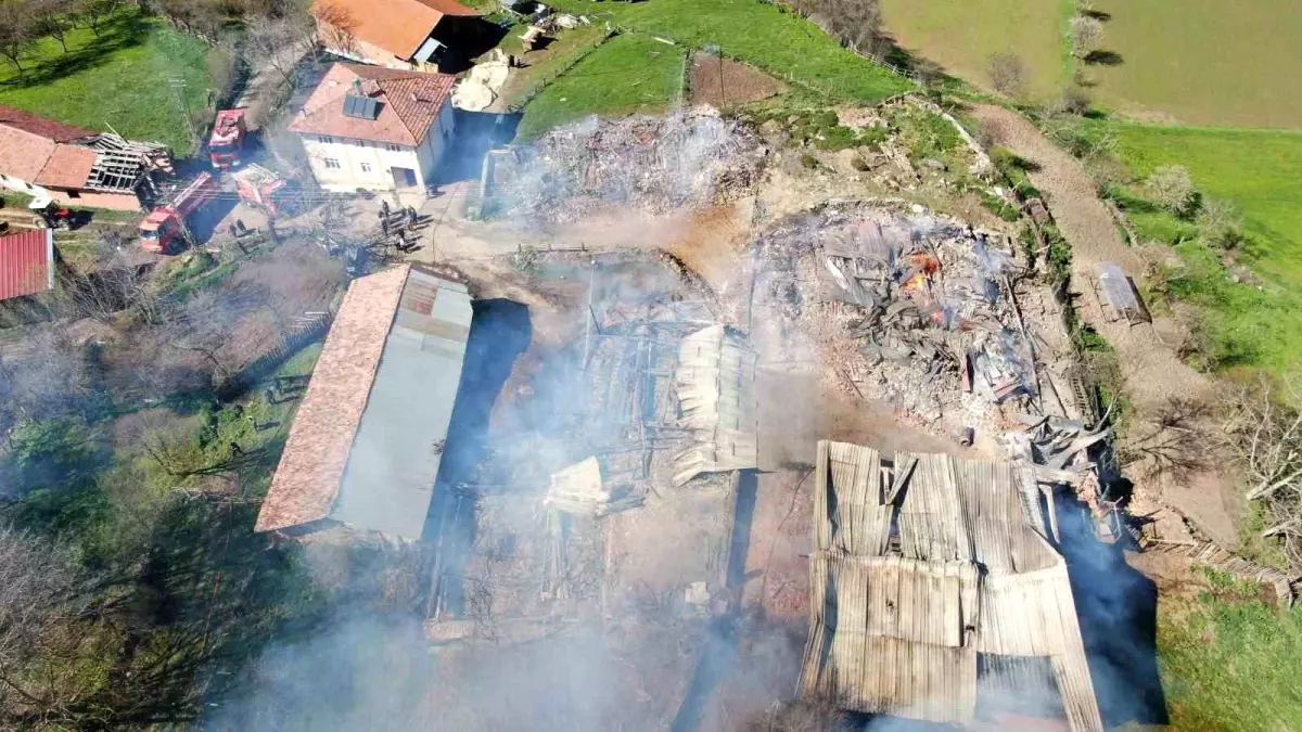 Kastamonu\'da Elektrik Panosu Patladı: 3 Ev ve Ahır Yandı