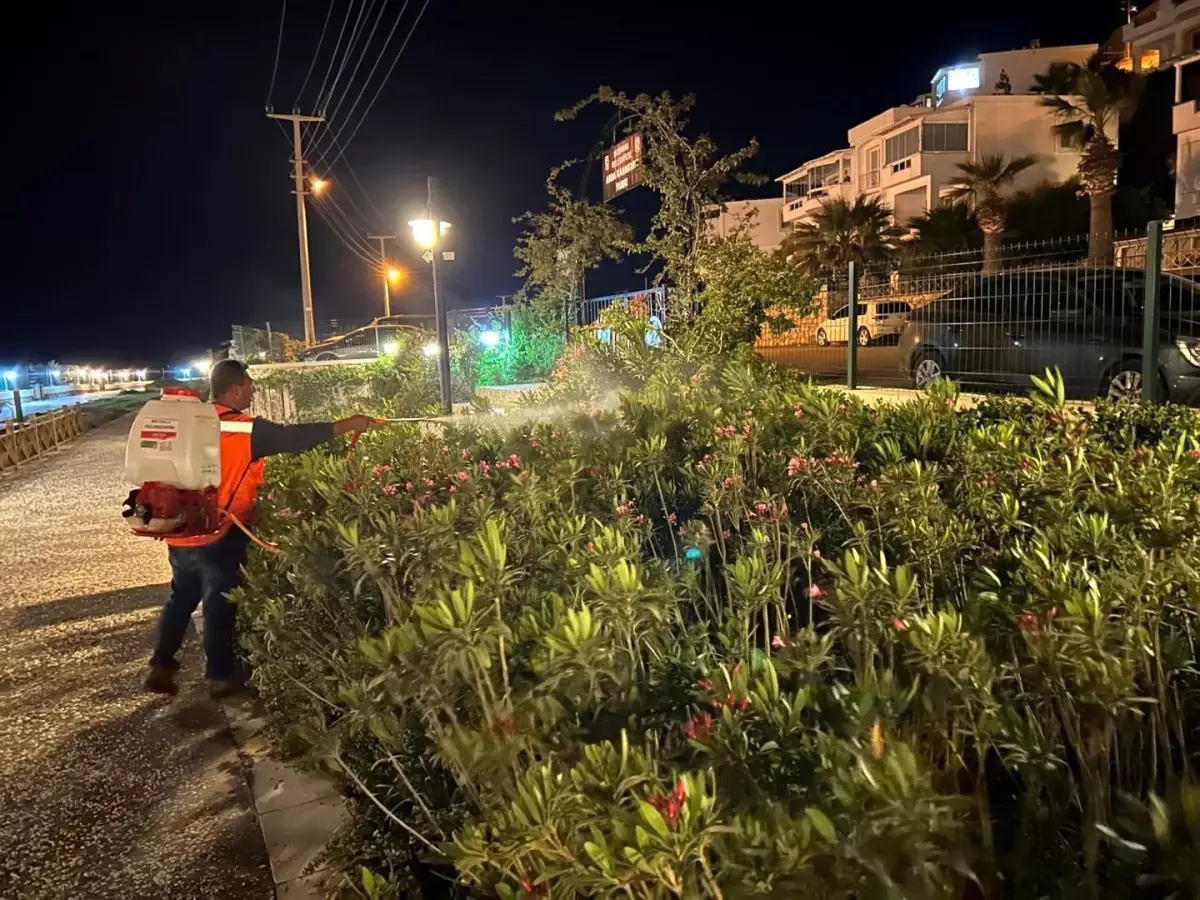 Bodrum\'da Yaz Sezonu Öncesi Temizlik ve Düzenleme Çalışmaları Hızlandı