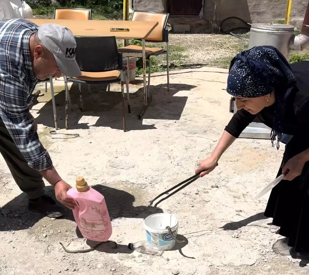 Yüksekova\'da Yılan Kabusu