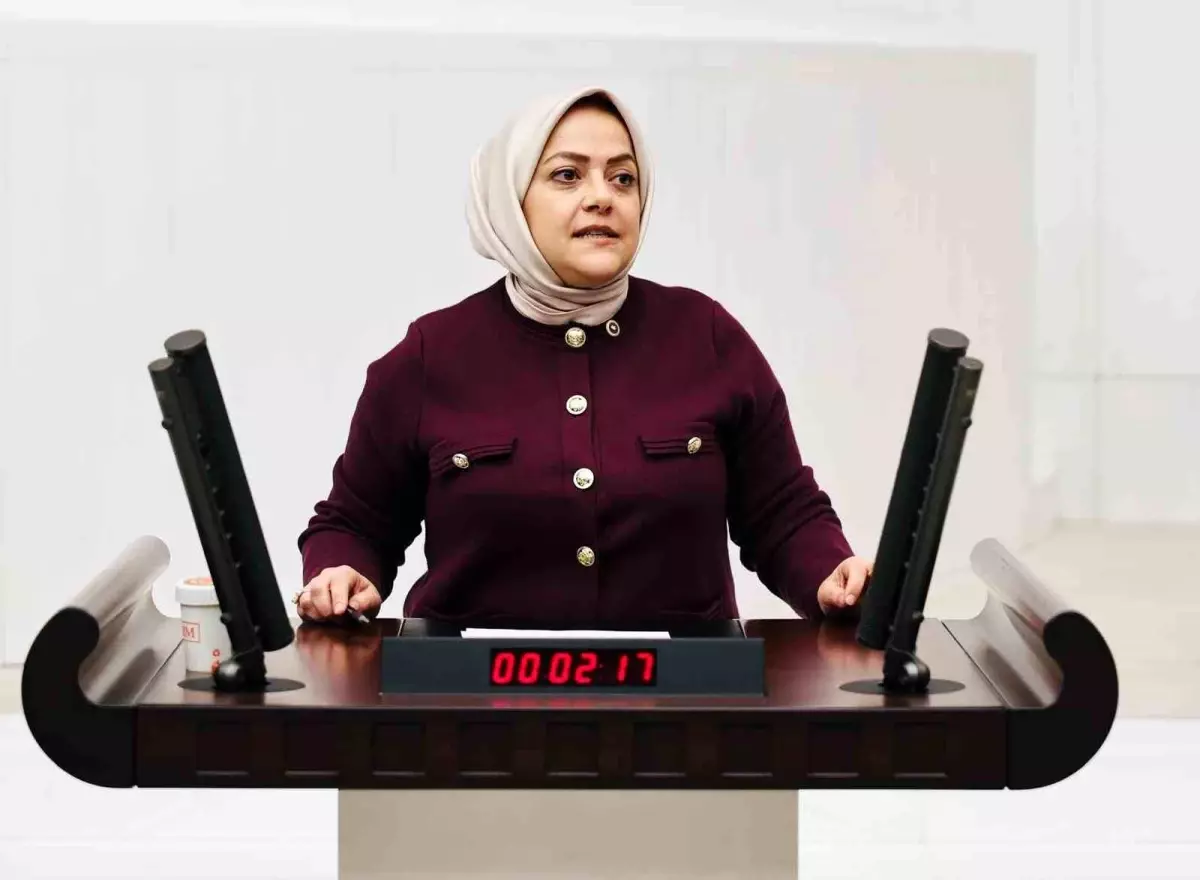 Sema Silkin Ün: Deprem Tehlikesi ve İstanbul\'u Uyarıyor