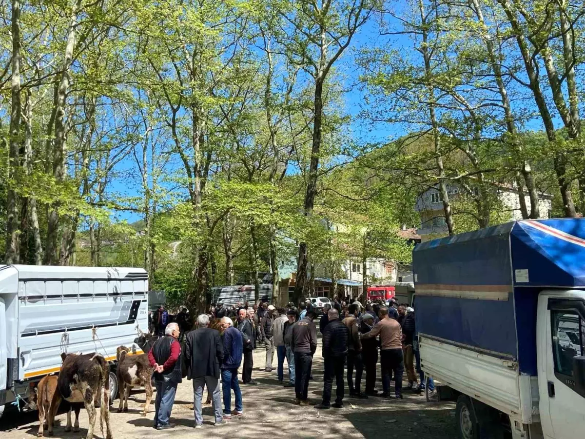 Çarşamba Pazarı\'nda Kurbanlık Hareketliliği