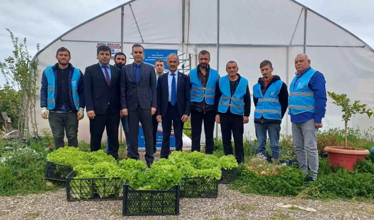 Hükümlüler Toprağa Dokunuyor