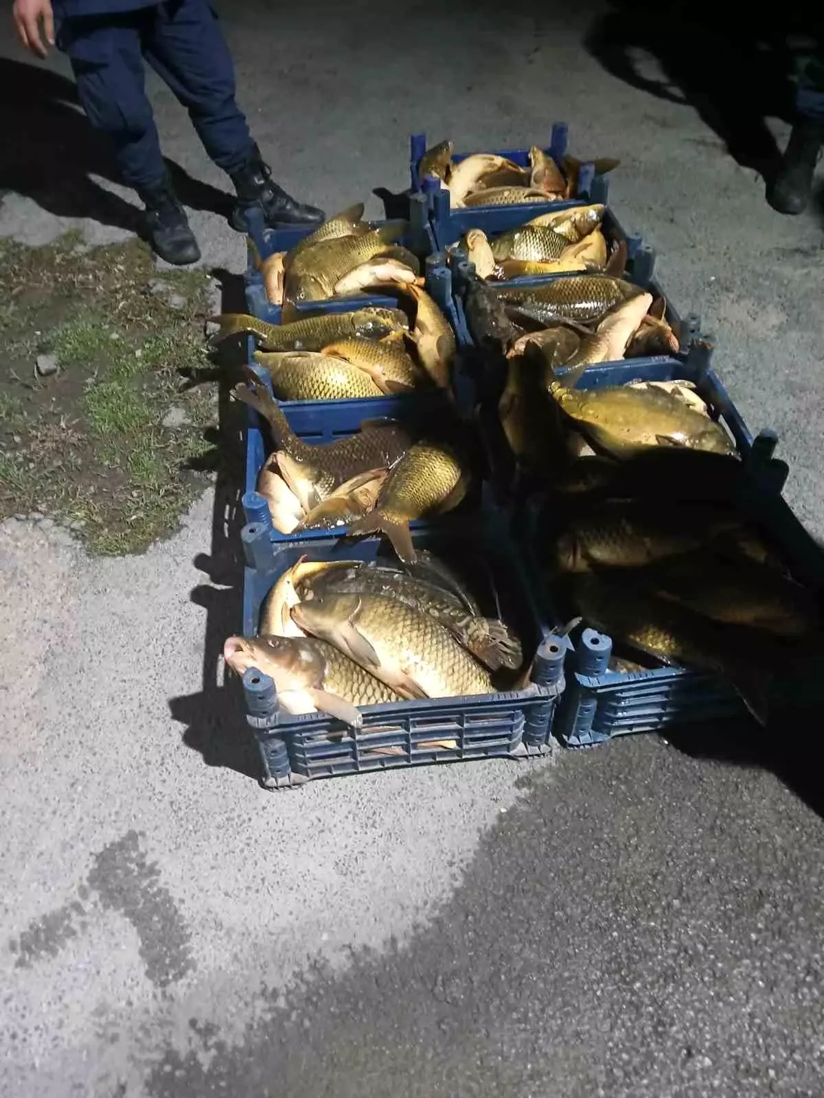 Elazığ\'da Kaçak Balık Avcılığına Operasyon