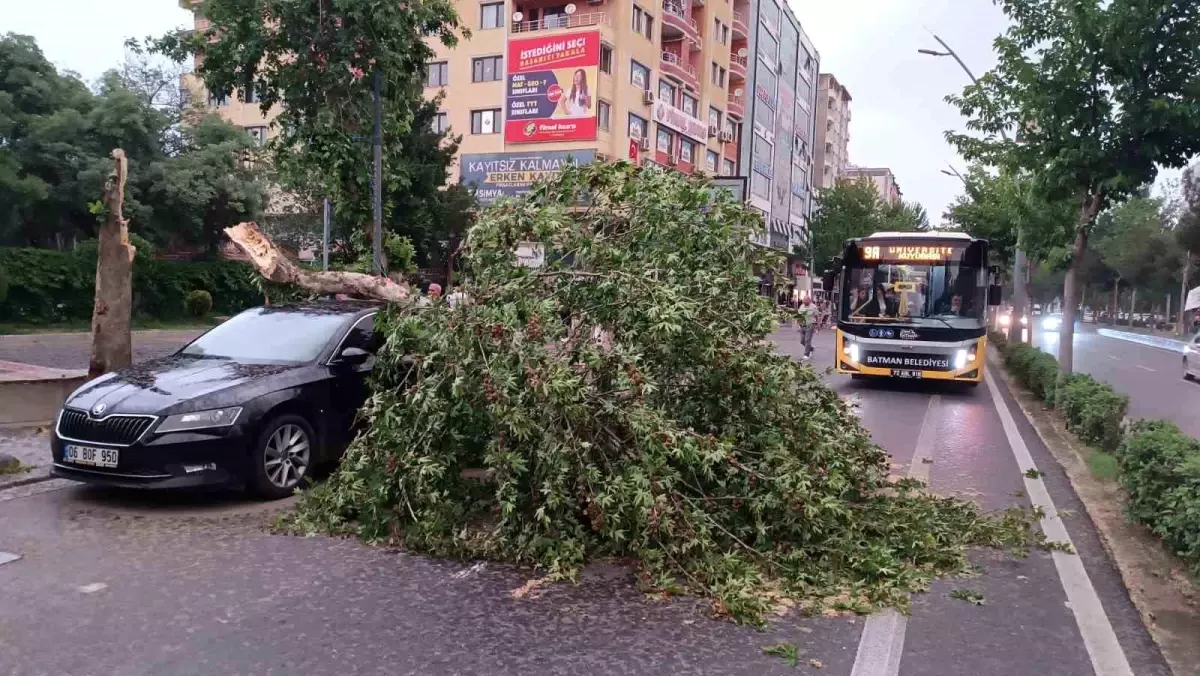 Batman\'da Rüzgar Ağaç Devirip Araca Düşürdü
