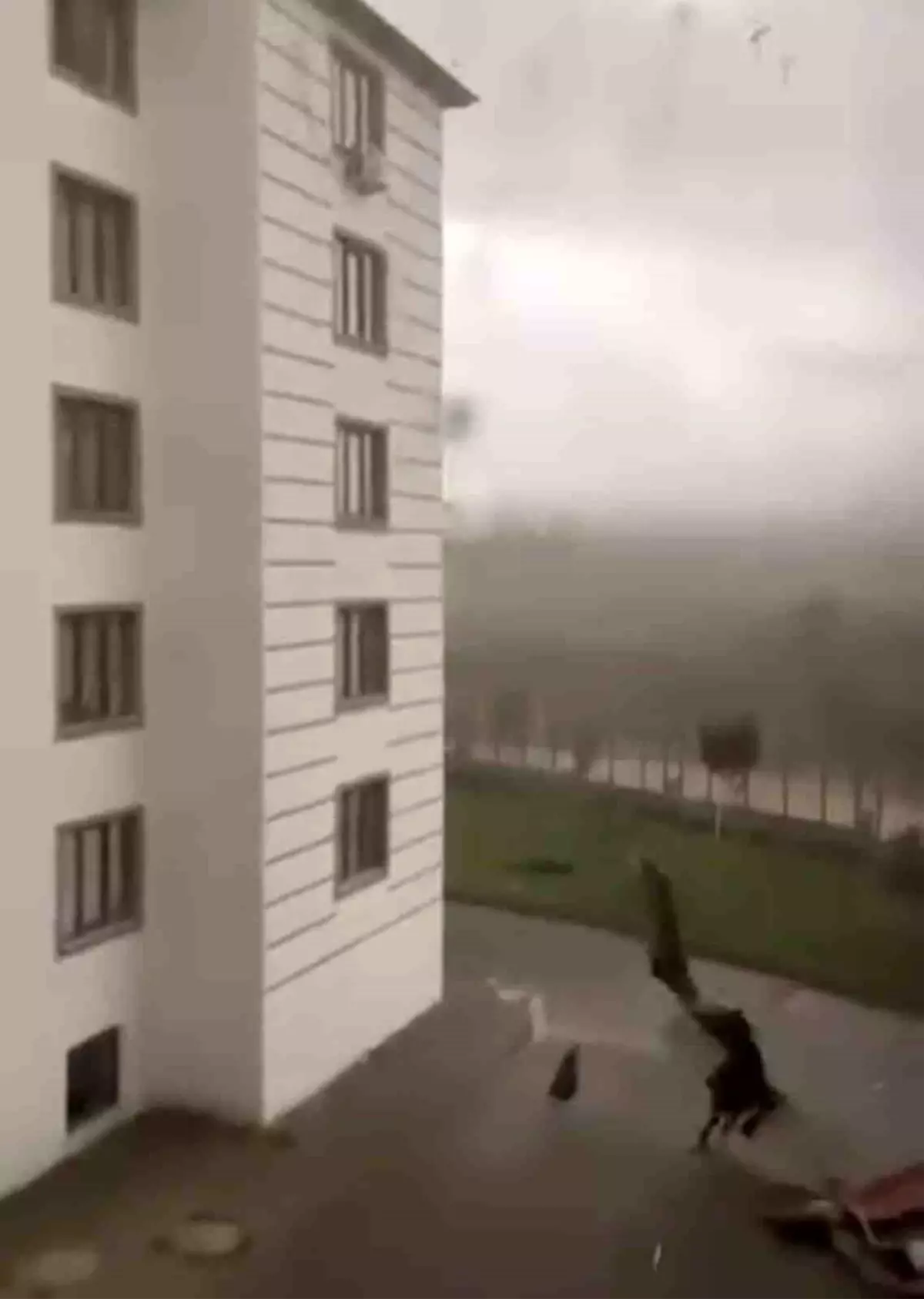 Bingöl\'de Fırtına Çatı Uçurdu, Çocuk Yaralanmadan Kurtuldu