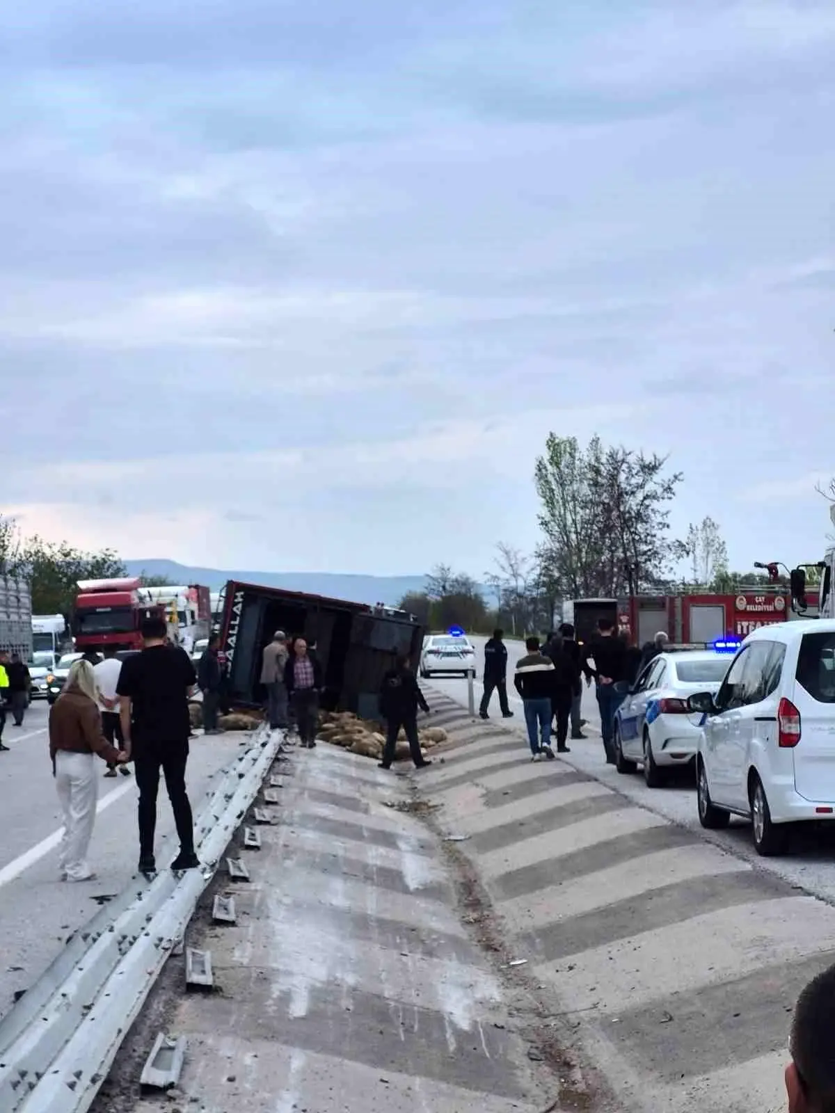 Afyonkarahisar\'da Kamyon Devrildi, 53 Küçükbaş Hayvan Telef Oldu