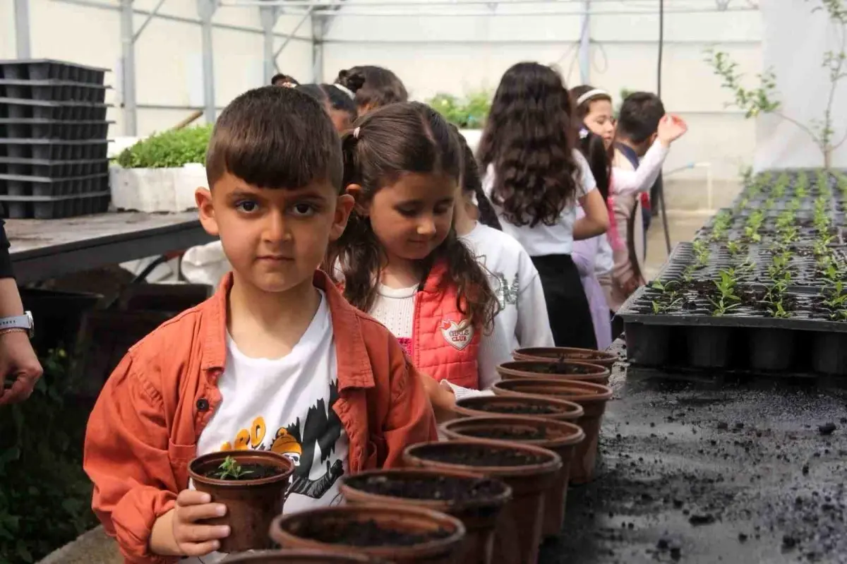 İskele Anaokulu Öğrencileri Doğa ile Buluştu