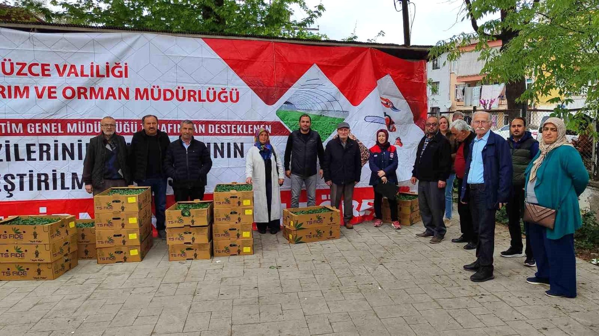 Düzce\'de Fide Dağıtımıyla Tarım Destekleniyor