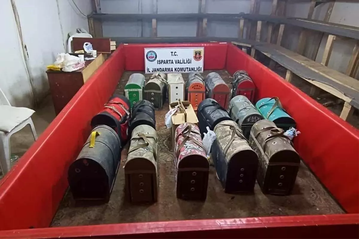 Isparta\'da Horoz Dövüşü Operasyonu