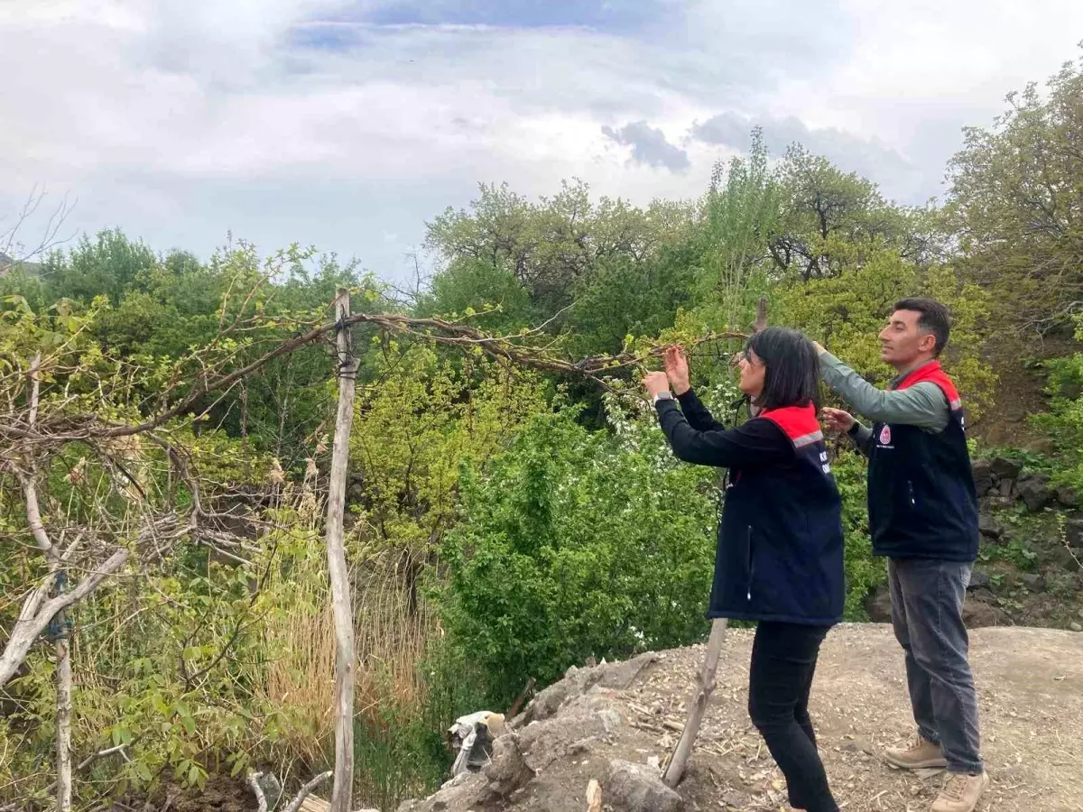 Kars\'ta Pestisit Eğitimi Verildi