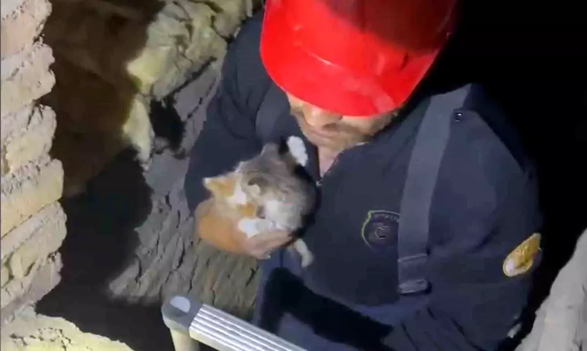 Kırıkkale\'de Yavru Kediler İtfaiye Ekipleri Tarafından Kurtarıldı