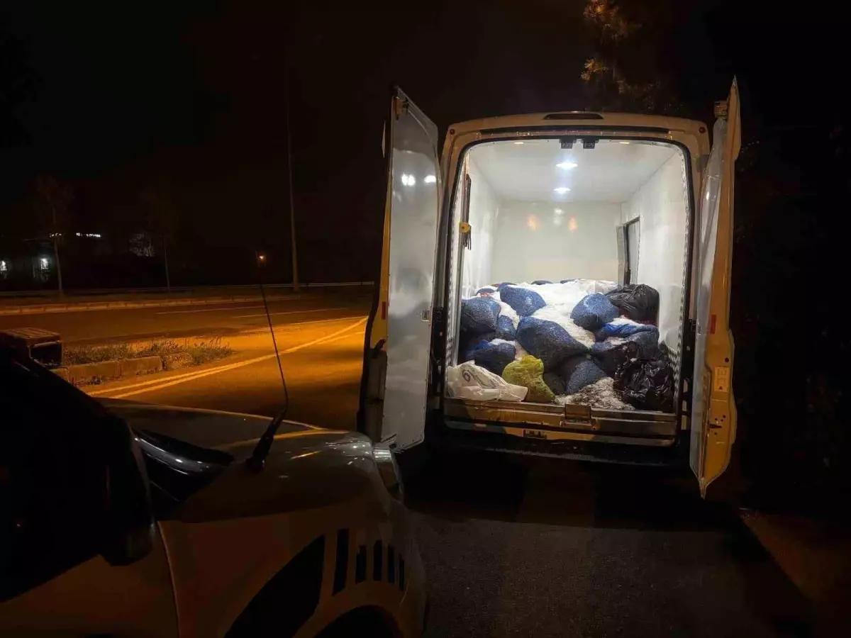 Samsun\'da Kaçak Midye Operasyonu