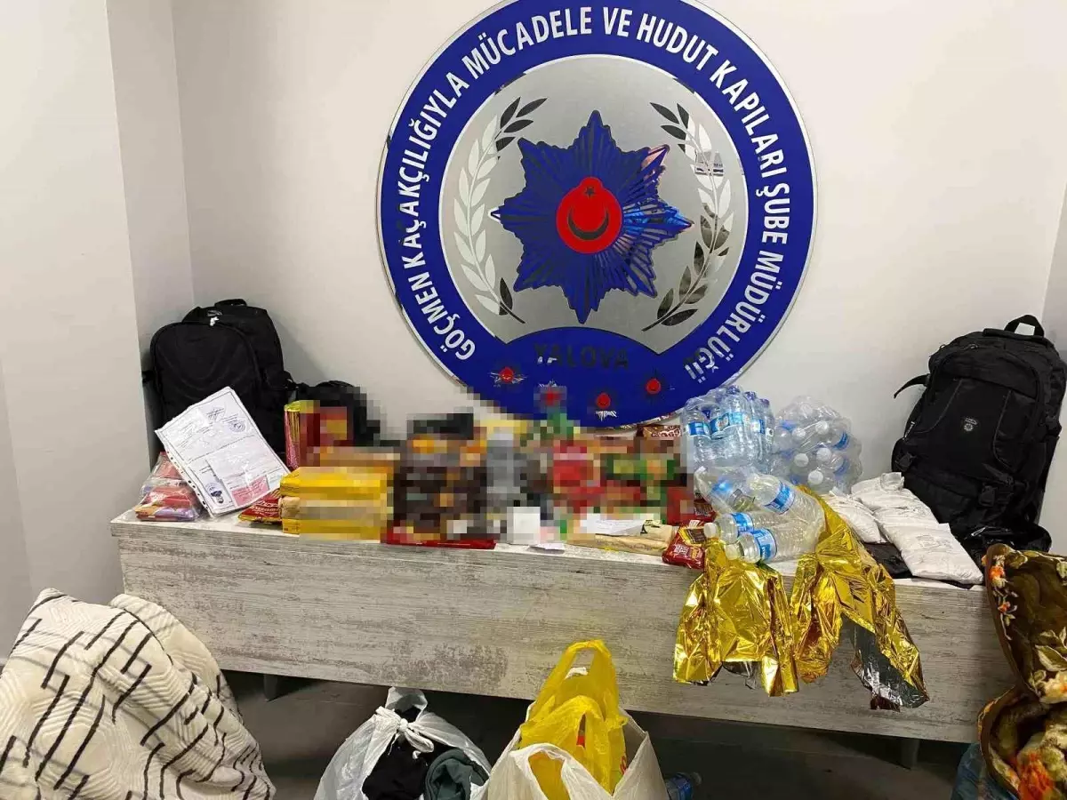 Yalova\'da Göçmen Kaçakçılığı Operasyonu