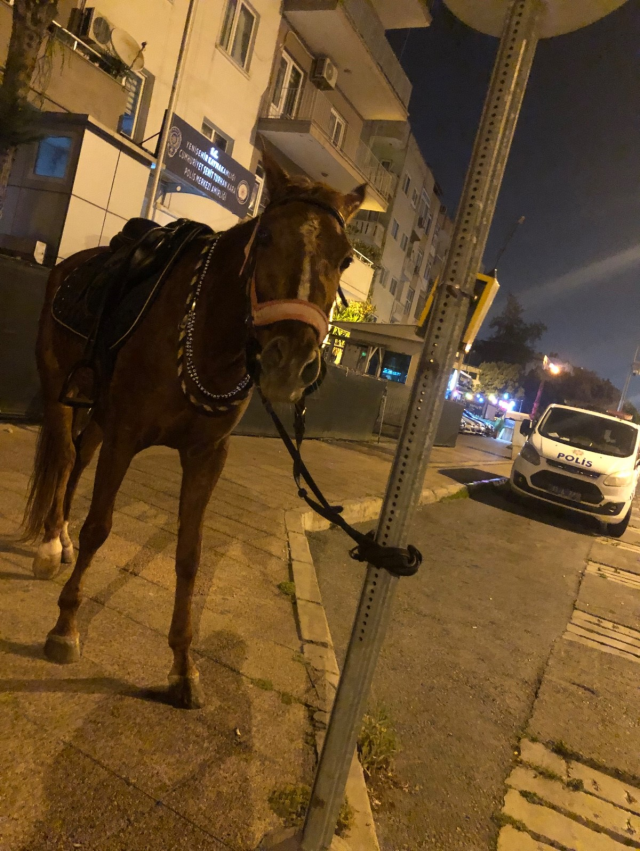 Atıyla markete giden gence 'Alkollü araç kullanmaktan' ceza şoku Atıyla markete giden gence 'Alkollü araç kullanmaktan' ceza şoku