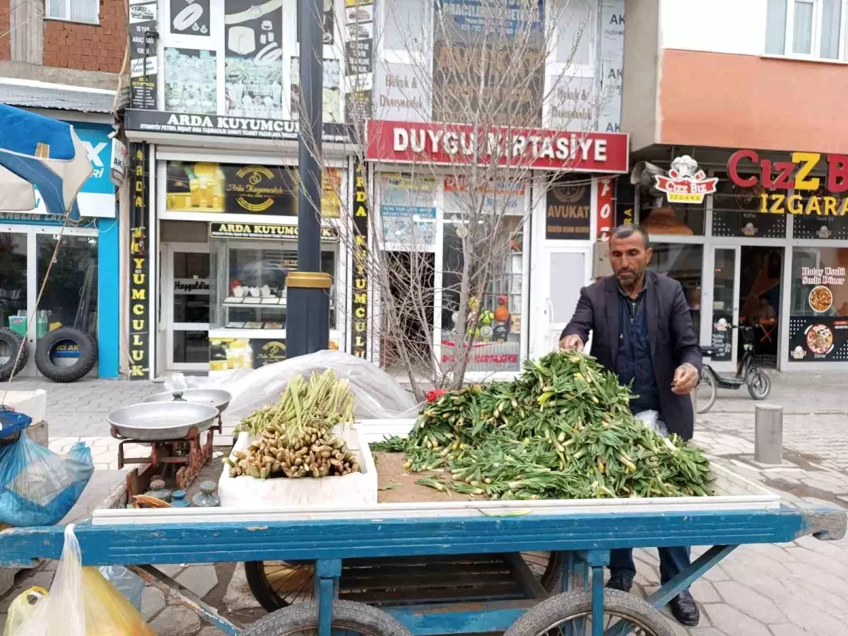 Diyadin\'de Bahar İle Işkın ve Çiriş Ticareti Başladı