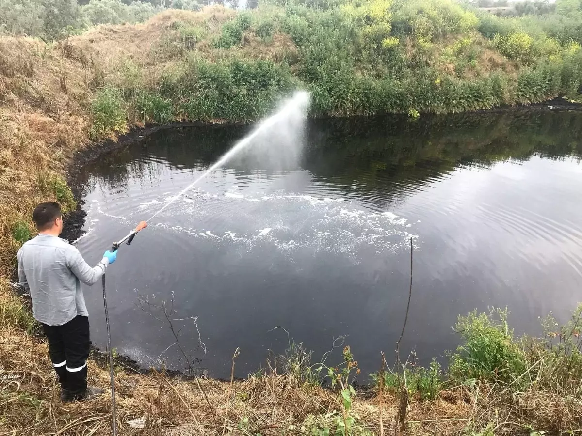 Germencik\'te Yaz Ayları İçin İlaçlama Çalışmaları Devam Ediyor
