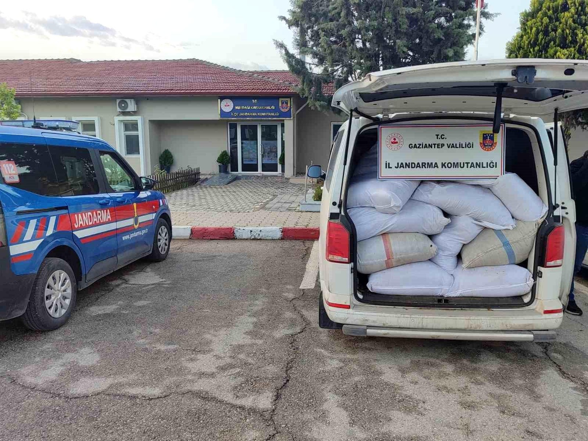 Gaziantep\'te Kaçak Tütün Operasyonu