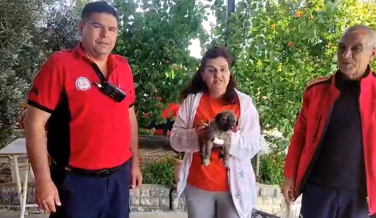 Berdan Irmağı\'nda Mahsur Kalan Köpek İtfaiye Ekipleri Tarafından Kurtarıldı