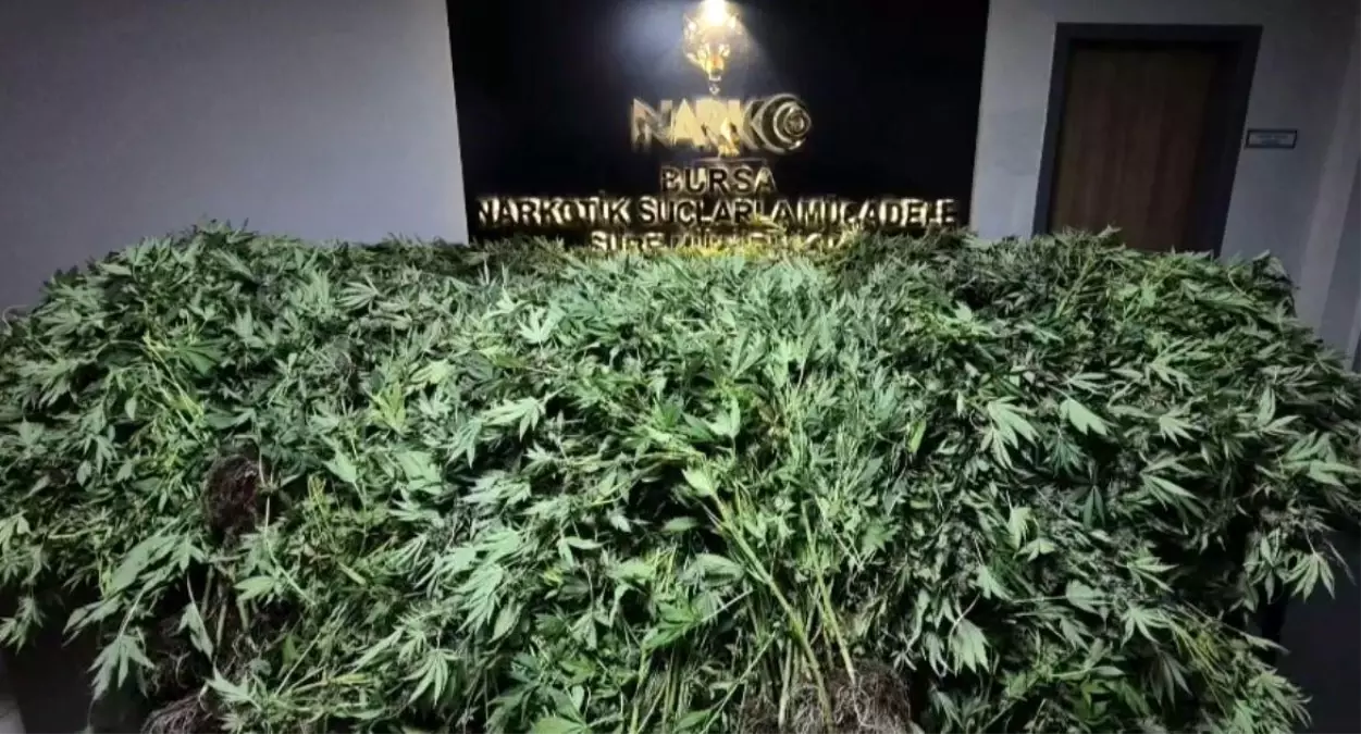 Bursa\'da Uyuşturucu Operasyonu: 41 Gözaltı