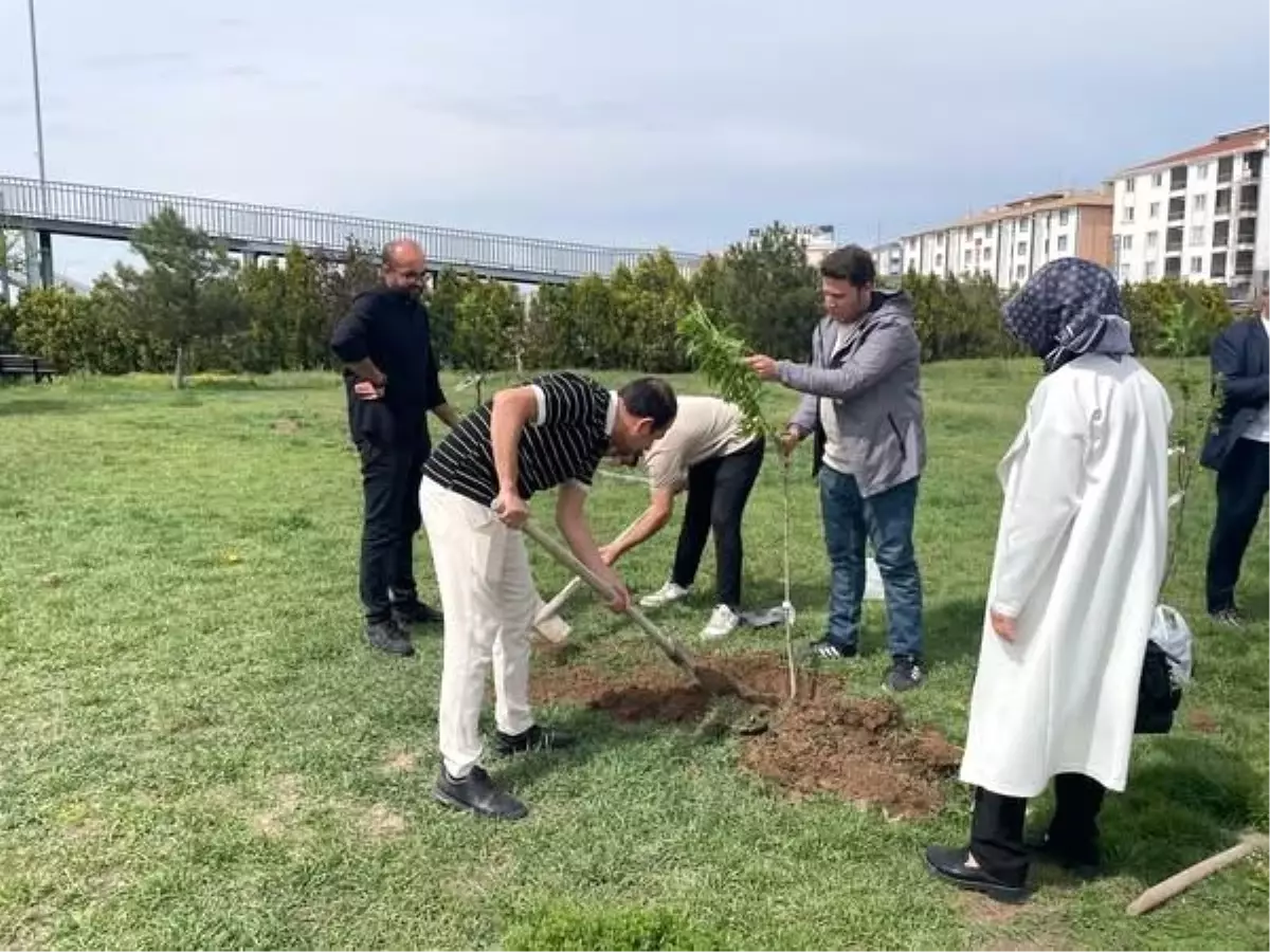 Üniversite Öğrencilerinden Temizlik ve Fidan Dikim Etkinliği