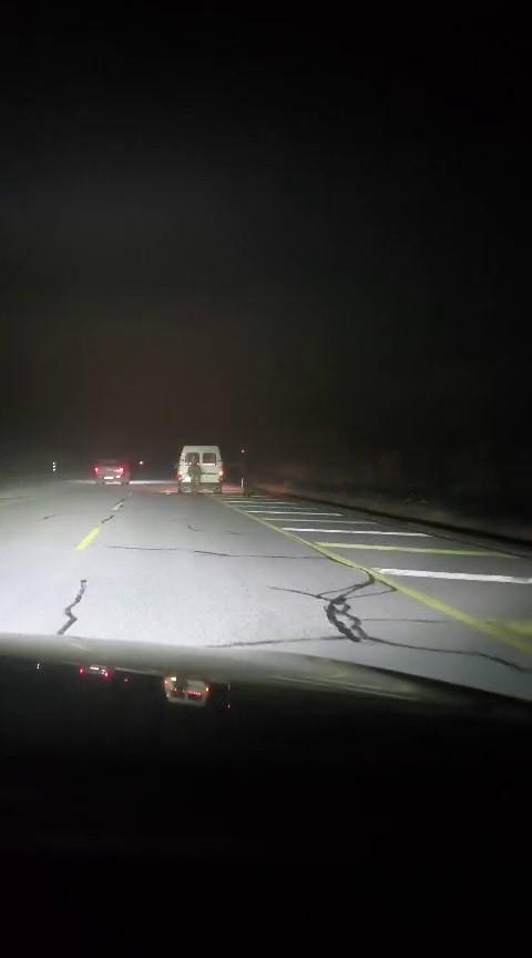 Atları kamyonetin arkasına bağlayıp koşturdu