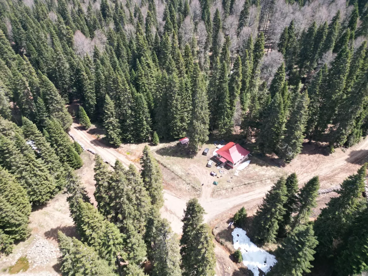 Yaylalarda Bahar Coşkusu