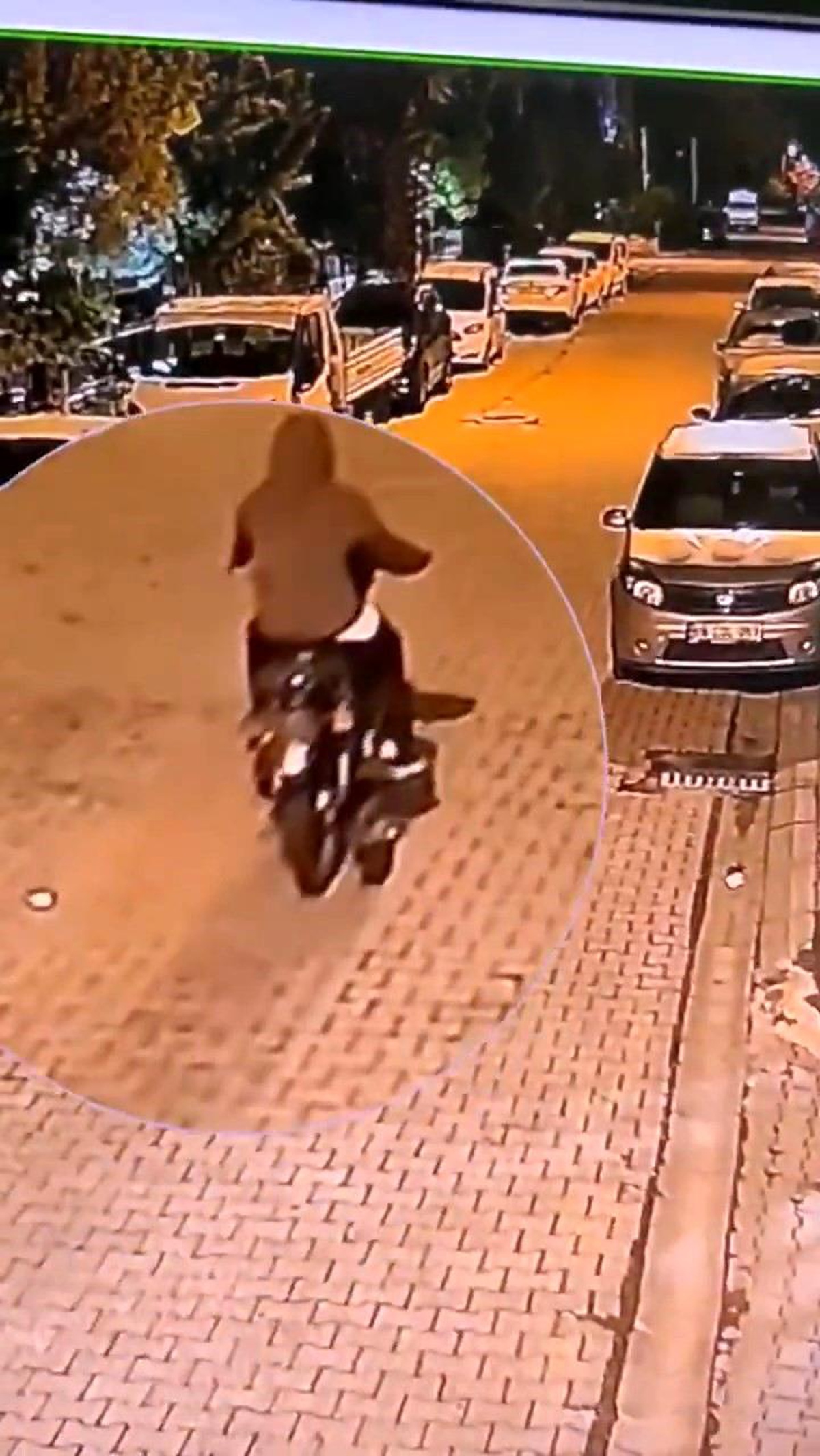Bingöl\'de Motosiklet Hırsızları Yakalandı