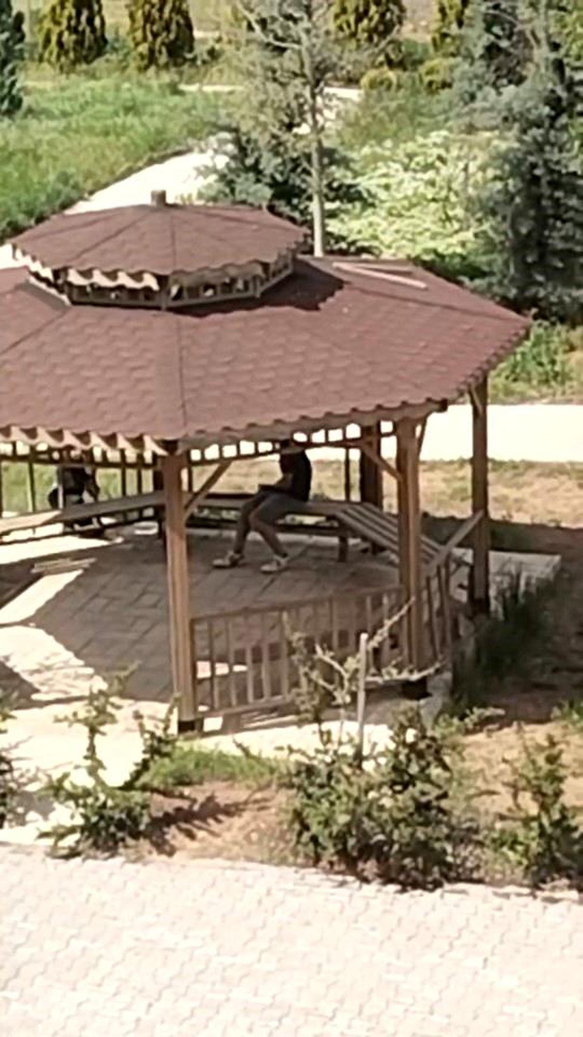 Elazığ\'da Kamelyalara Zarar Veren İki Kişi