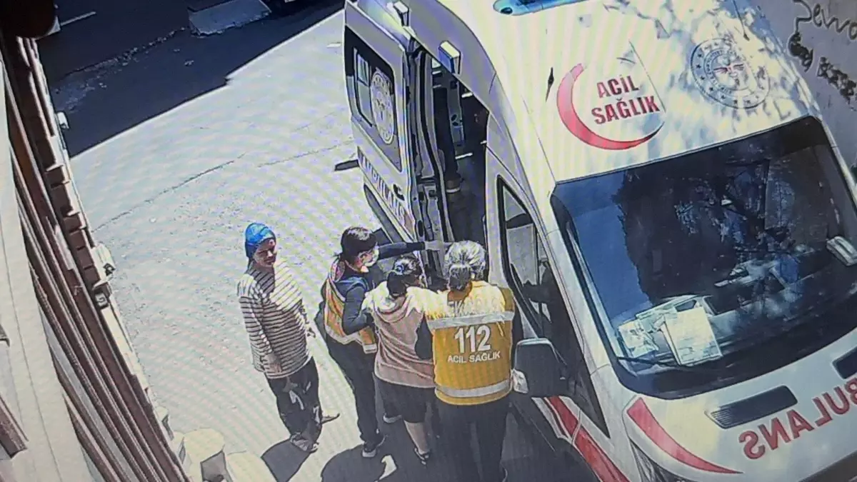 Sokak Köpeği Kadını Isırdı