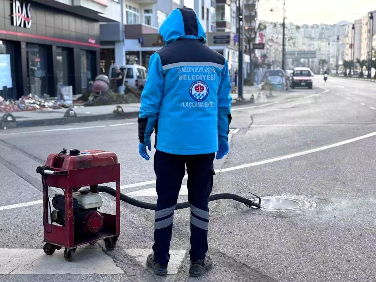 Trabzon\'da Vektörle Mücadele Çalışmaları Hız Kesmeden Devam Ediyor