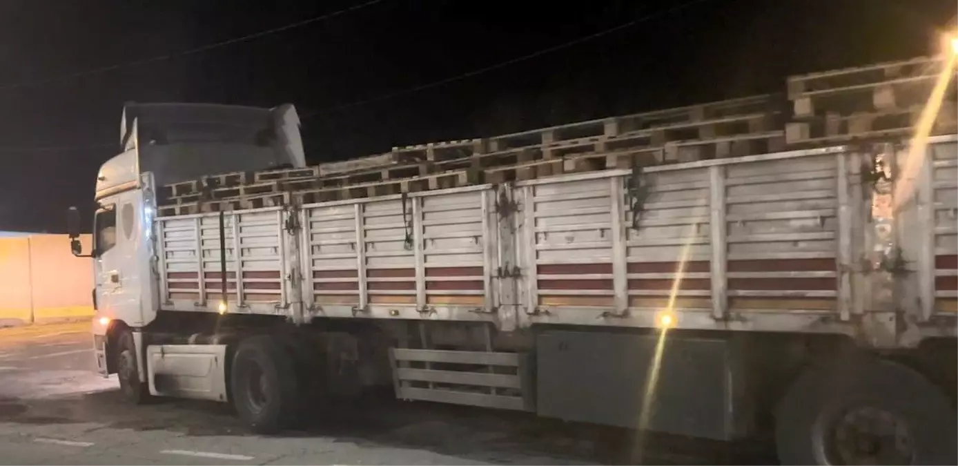 Bitlis\'te Düzensiz Göçmen Operasyonu