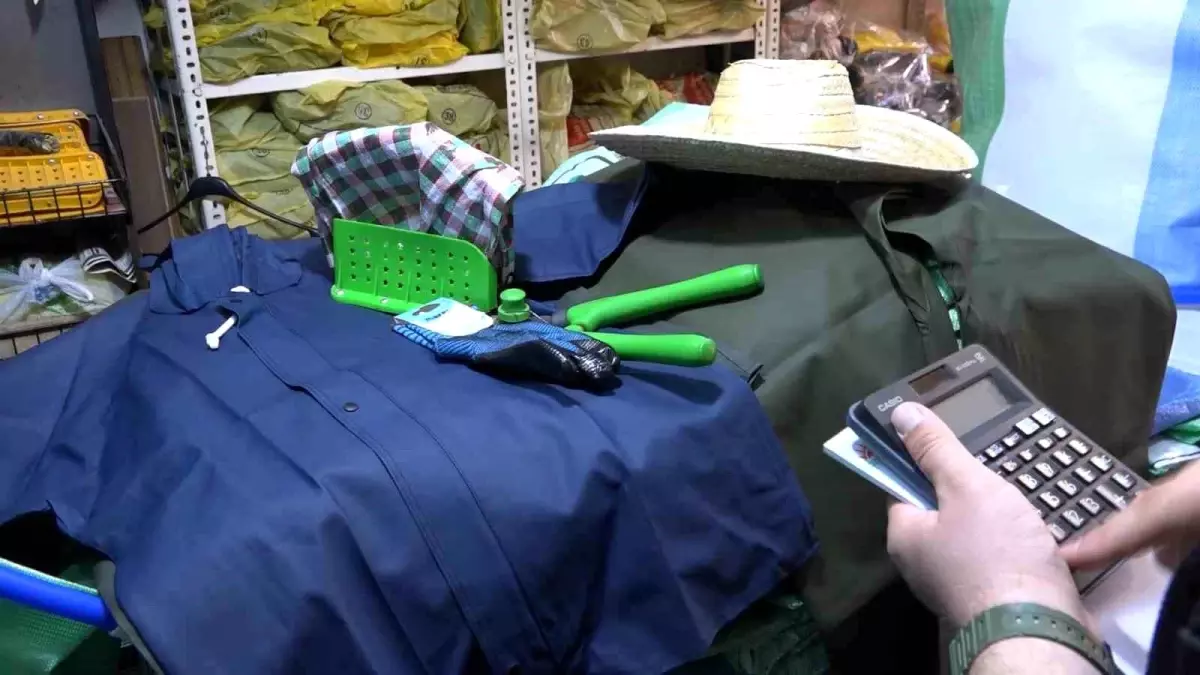 Çay Üreticileri Sezona Hazırlanıyor