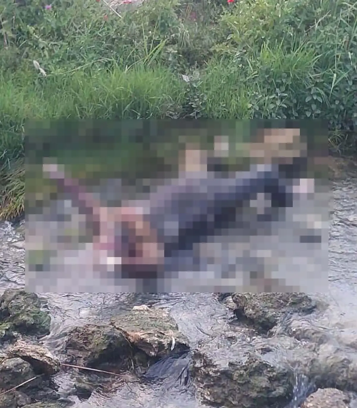 Uyuşturucu Etkisiyle Dereye Düşen Firari Ölü Bulundu