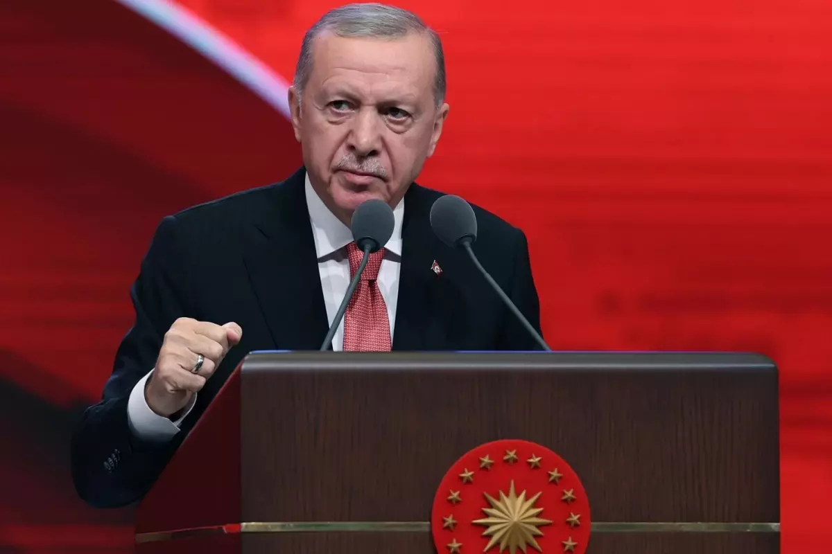 Cumhurbaşkanı Erdoğan: Eline bir mikrofon alan kendini gazeteci sanıyor