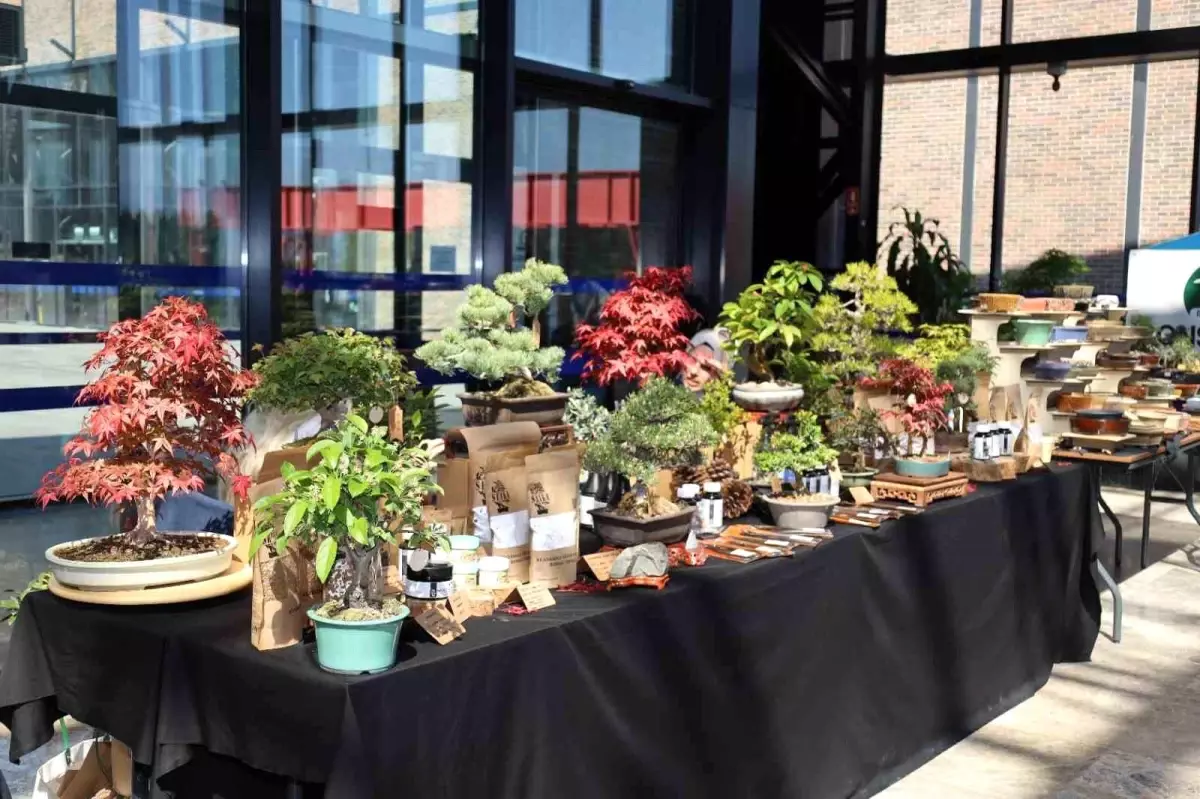 Kocaeli\'de V. Ulusal Bonsai Sergisi ve Sempozyumu Düzenlendi