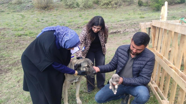 Kamyon kasasında sarkan köpeğin sahibi konuştu! İşte olayın iç yüzü Kamyon kasasında sarkan köpeğin sahibi konuştu! İşte olayın iç yüzü