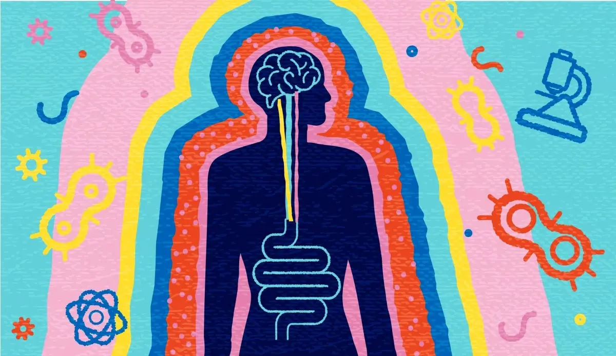 Bağırsak-Beyin Bağlantısı